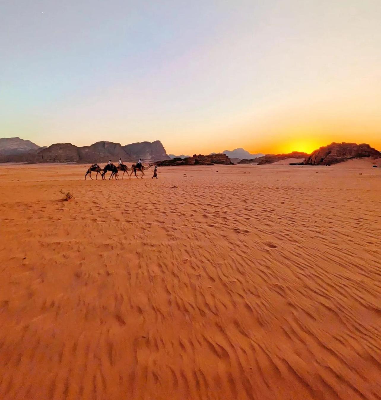 Wadi Magical